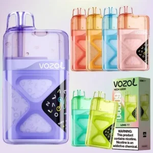 Vozol Neon 60000 Delhi